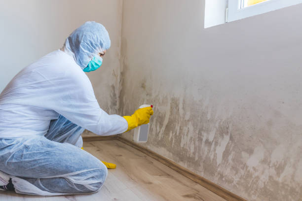 Licensed Commercial Mold Remediation service in Florham Park, NJ - WQB Mold Removal