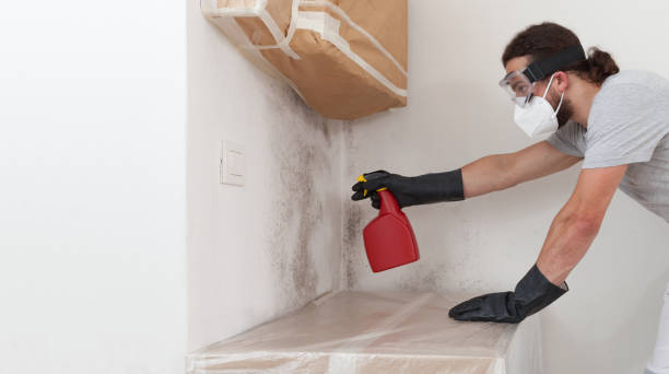 Professional Commercial Mold Remediation technician working in Florham Park, NJ