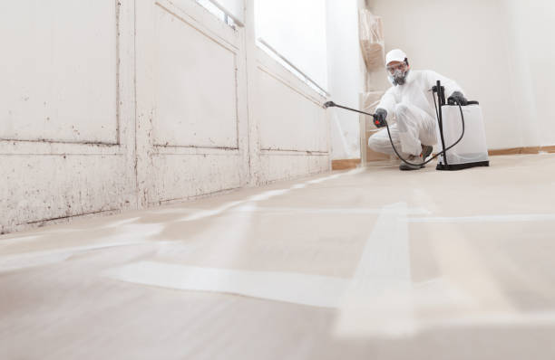 24/7 Emergency Commercial Mold Remediation experts in Florham Park, NJ