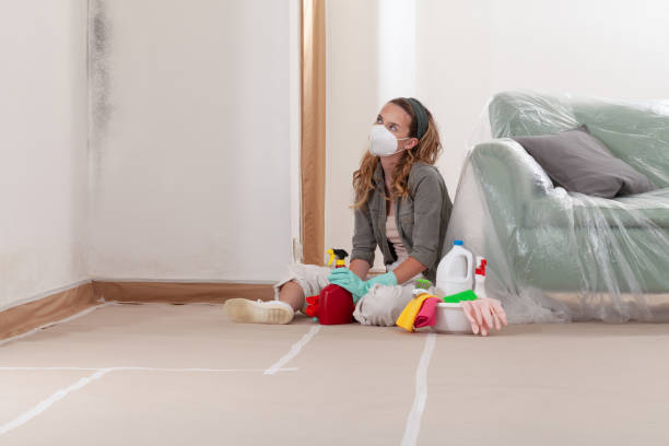 Reliable Commercial Mold Remediation contractor in Florham Park, NJ by WQB Mold Removal
