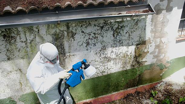 Top rated local Commercial Mold Remediation specialists in Florham Park, NJ